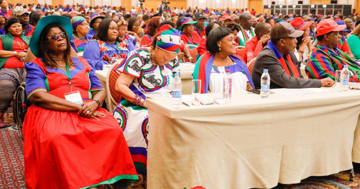 Swapo Party VP commends members, all who worked tirelessly at the